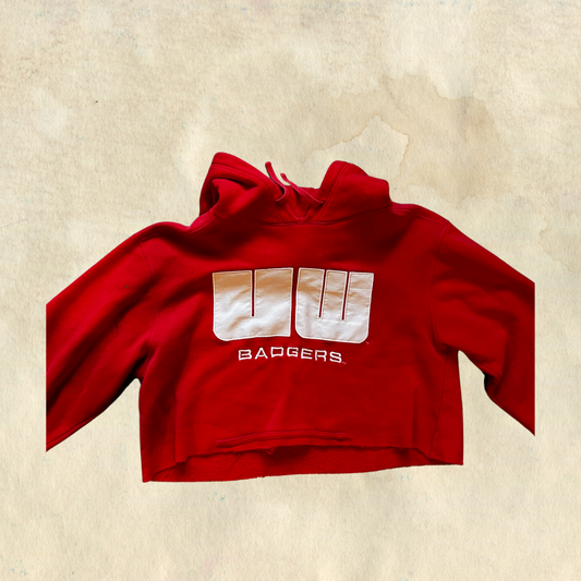 Badgers Sweatshirt Cropped